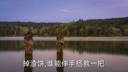 掉渣饼,谁能伸手拯救一把