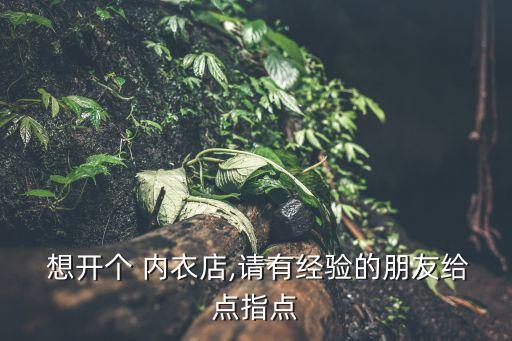 曲靖想开内衣店要加盟费吗