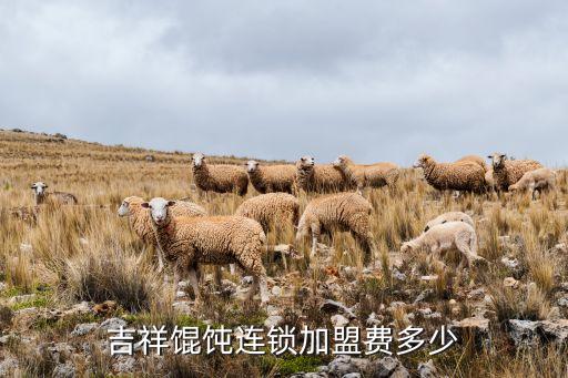 吉祥馄饨连锁加盟费多少