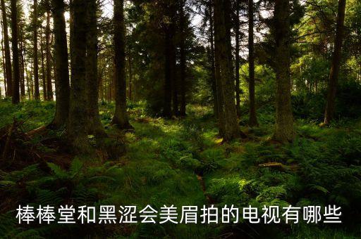 棒棒堂和黑涩会美眉拍的电视有哪些