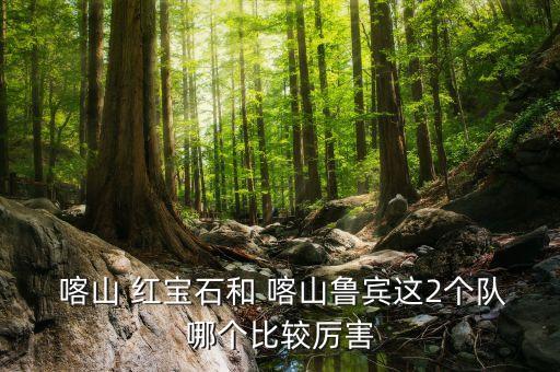  喀山 红宝石和 喀山鲁宾这2个队哪个比较厉害
