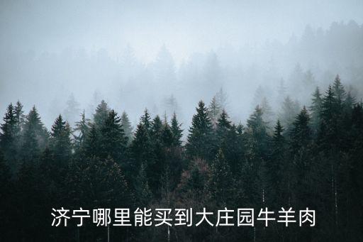  济宁哪里能买到大庄园牛羊肉