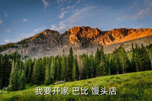 加盟巴比馒头加盟费重庆,巴比馒头加盟费及加盟条件2022