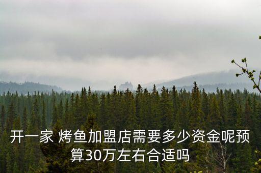 开一家 烤鱼加盟店需要多少资金呢预算30万左右合适吗
