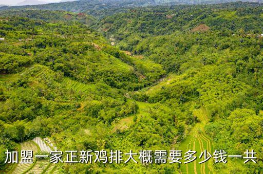 加盟一家正新鸡排大概需要多少钱一共