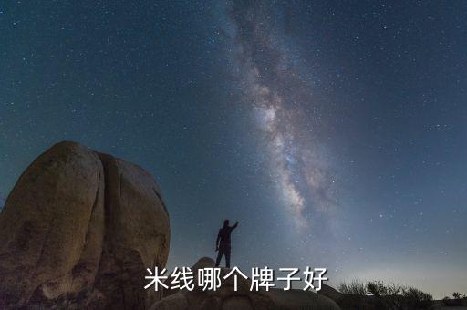  米线哪个牌子好