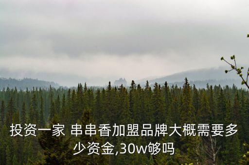 投资一家 串串香加盟品牌大概需要多少资金,30w够吗