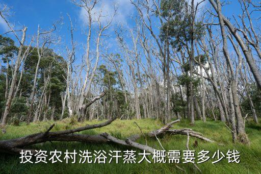 投资农村洗浴汗蒸大概需要多少钱