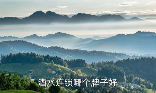 酒水连锁哪个牌子好