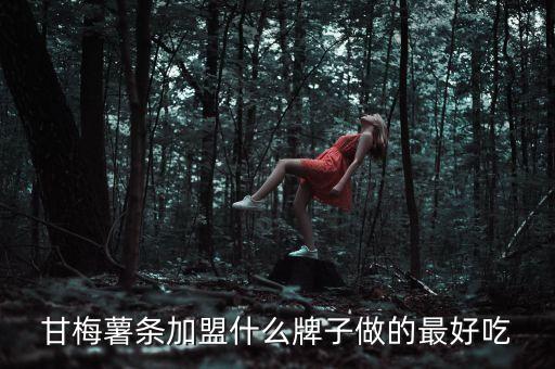 鱿鱼圈加盟费用,火爆鱿鱼加盟多少钱