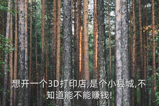 想开一个3D打印店,是个小县城,不知道能不能赚钱!