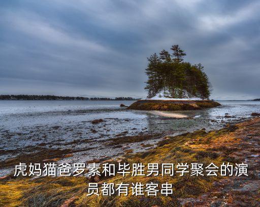 郑州虎妈串串加盟费,蓉妈串串加盟费多少钱
