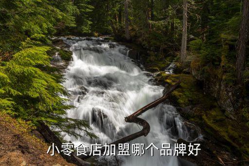 低加盟费加盟的休闲食品,佳一佳休闲食品加盟费