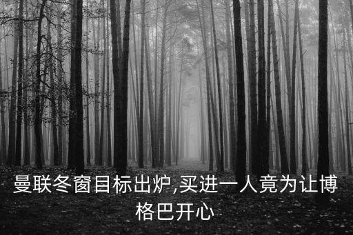 曼联冬窗目标出炉,买进一人竟为让博格巴开心