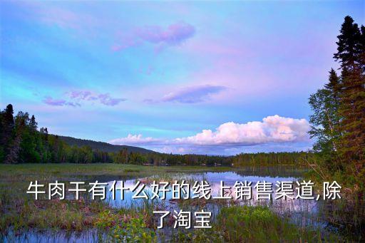  牛肉干有什么好的线上销售渠道,除了淘宝