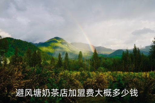 避风塘奶茶店加盟费大概多少钱