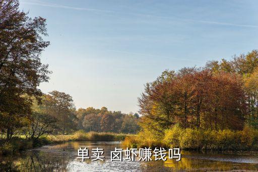 单卖 卤虾赚钱吗