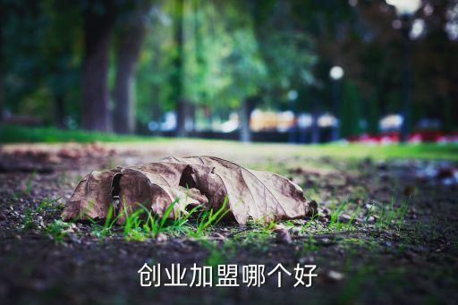 创业加盟哪个好