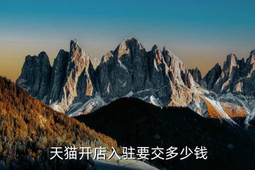 天猫加盟费明细,天猫小超市怎么加盟费多少
