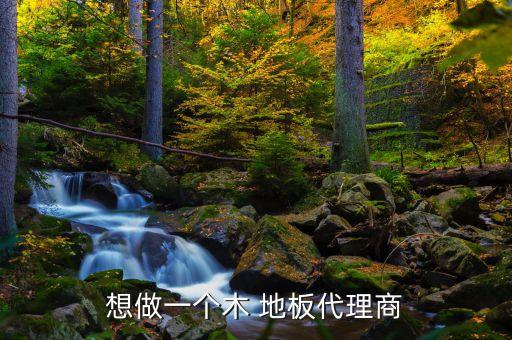 想做一个木 地板代理商