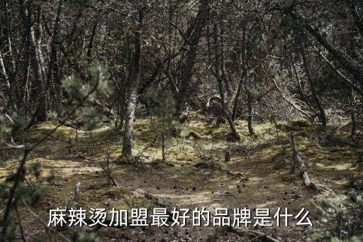 麻辣烫加盟最好的品牌是什么