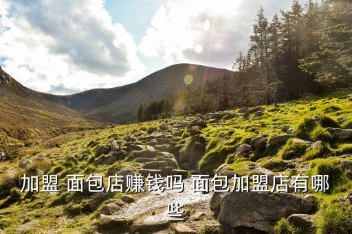 加盟 面包店赚钱吗 面包加盟店有哪些