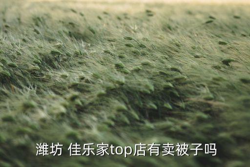  潍坊 佳乐家top店有卖被子吗