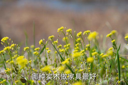 老橡家加盟费多少,有家便利店加盟费多少钱
