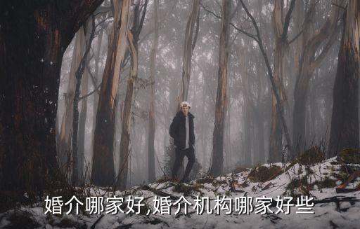 婚介哪家好,婚介机构哪家好些