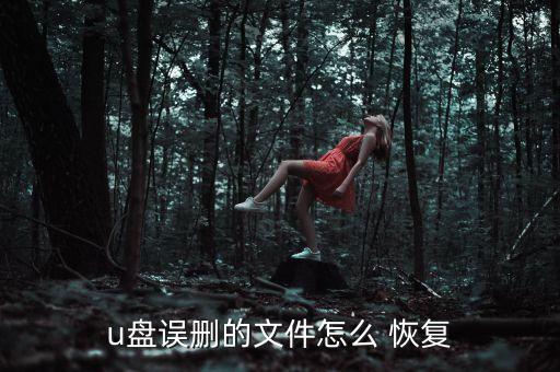 u盘误删的文件怎么 恢复