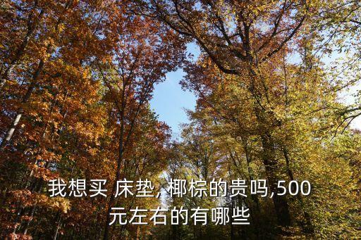 我想买 床垫, 椰棕的贵吗,500元左右的有哪些