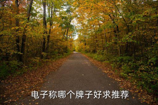 山东电子秤代理商加盟费用