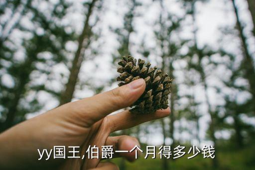 yy国王,伯爵一个月得多少钱