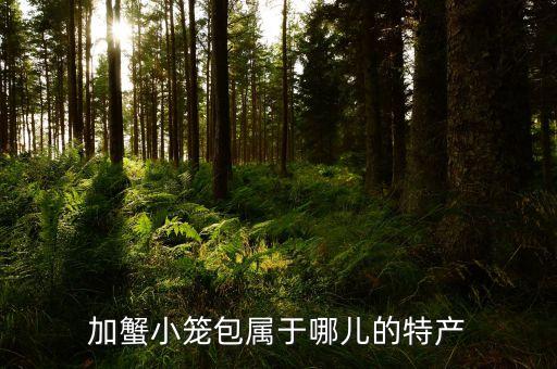 加蟹小笼包属于哪儿的特产
