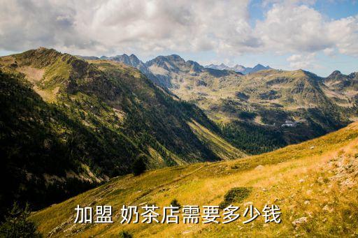 加盟 奶茶店需要多少钱