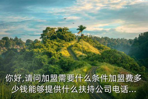 你好,请问加盟需要什么条件加盟费多少钱能够提供什么扶持公司电话...