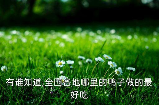 有谁知道,全国各地哪里的鸭子做的最好吃