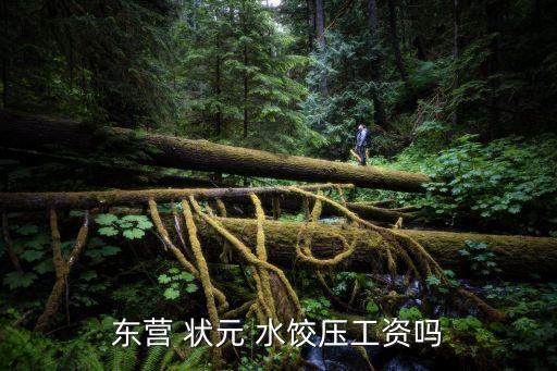 状元水饺加盟费多少钱,谷状元加盟费多少钱