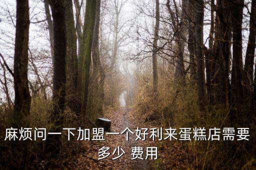 麻烦问一下加盟一个好利来蛋糕店需要多少 费用