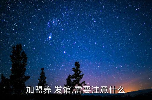 加盟养 发馆,需要注意什么
