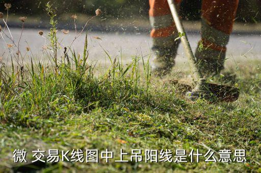 微 交易K线图中上吊阳线是什么意思