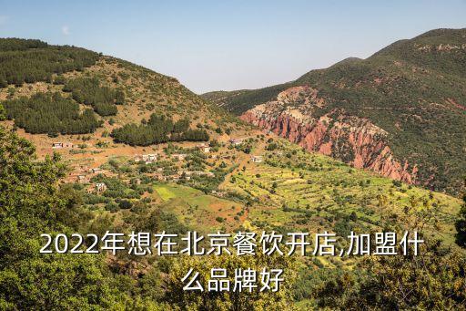 2022年想在北京餐饮开店,加盟什么品牌好