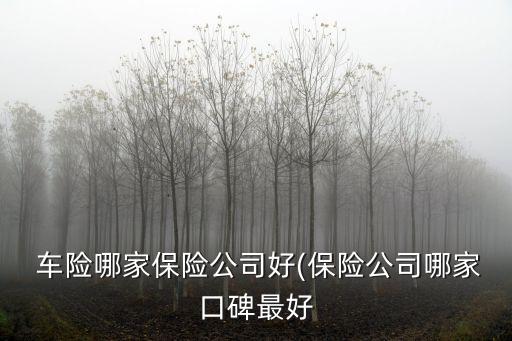  车险哪家保险公司好(保险公司哪家口碑最好