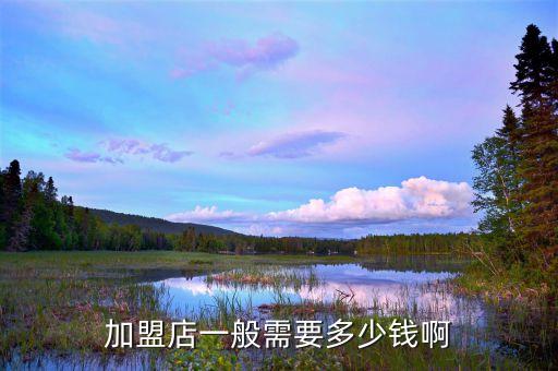 加盟店一般需要多少钱啊