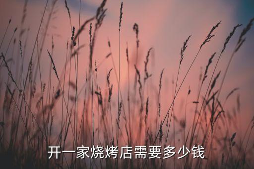 开一家烧烤店需要多少钱