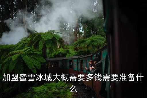 加盟蜜雪冰城大概需要多钱需要准备什么