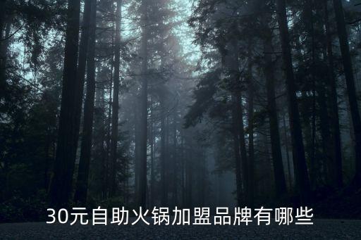 30元自助火锅加盟品牌有哪些