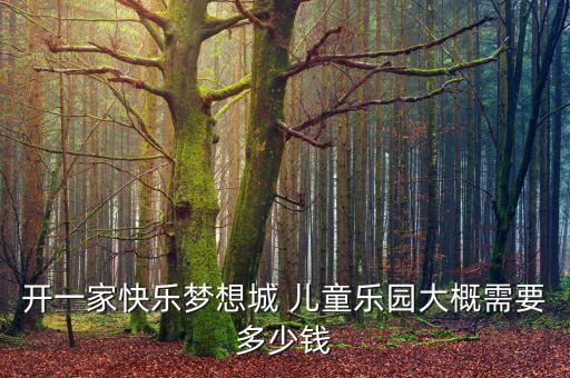 开一家快乐梦想城 儿童乐园大概需要多少钱