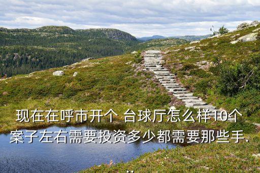 现在在呼市开个 台球厅怎么样10个案子左右需要投资多少都需要那些手...