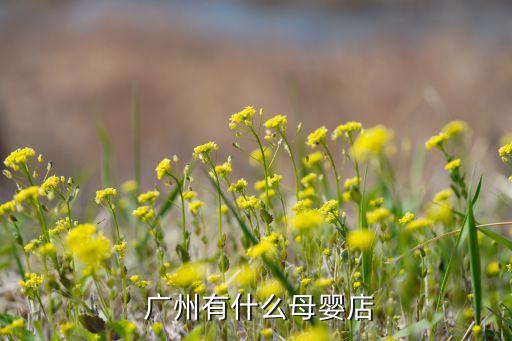  广州有什么母婴店